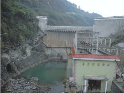 貴沿河縣墨子灣電站大壩、廠房、機(jī)組安裝交鑰匙工程